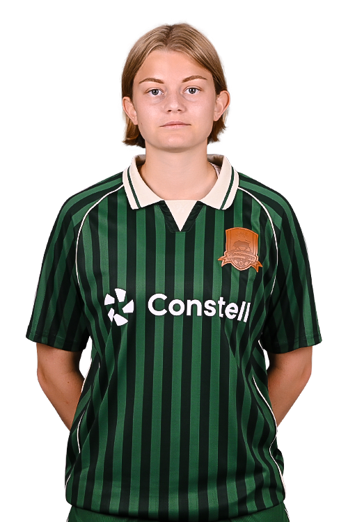 vasilisa.png
