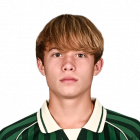 tgnosov_mark.png
