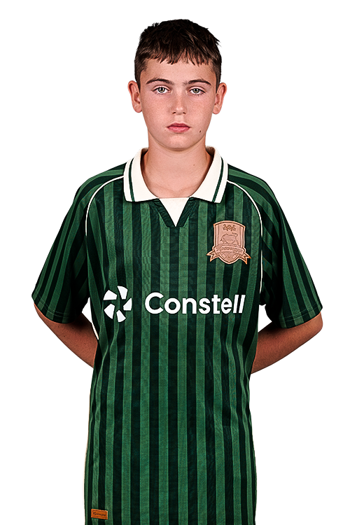 2013krasnodarmironenko_vladislav1.png