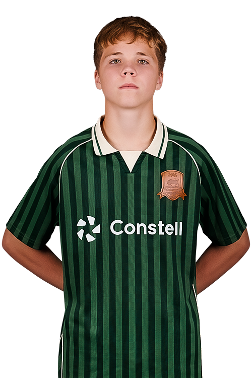 2013krasnodarshavkin_dmitrij1.png