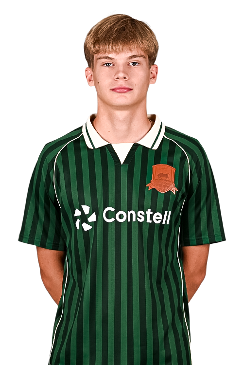 daniil11.png
