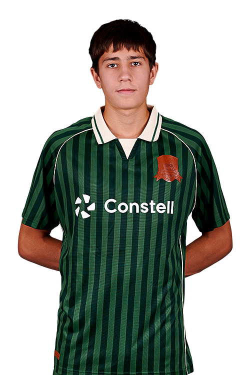 damir1.png