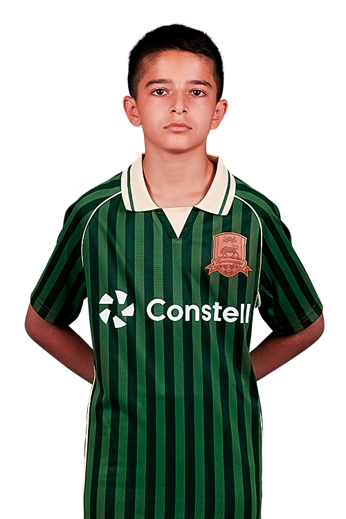 rafael1.png