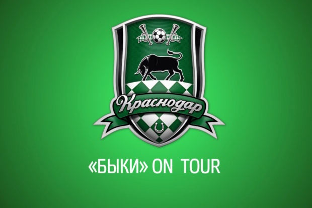 byki_k_29_01_13.mp4_snapshot_00.08_2015.01.28_08.56.351.jpg