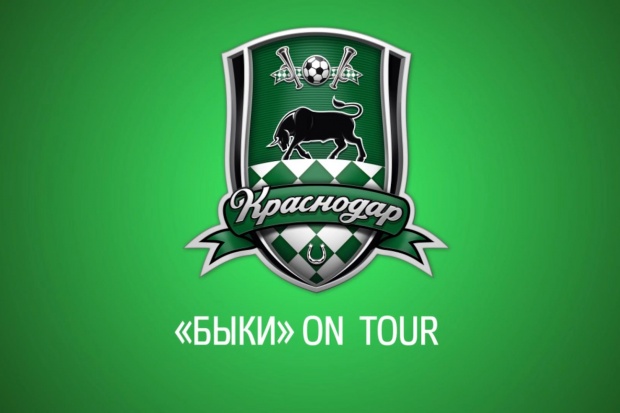 byki_k_10_02_15.mp4_snapshot_00.08_2015.02.09_11.00.08.jpg