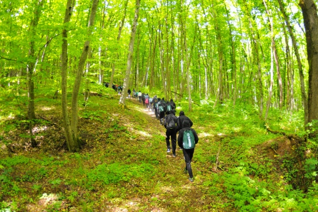 krd_0808.jpg