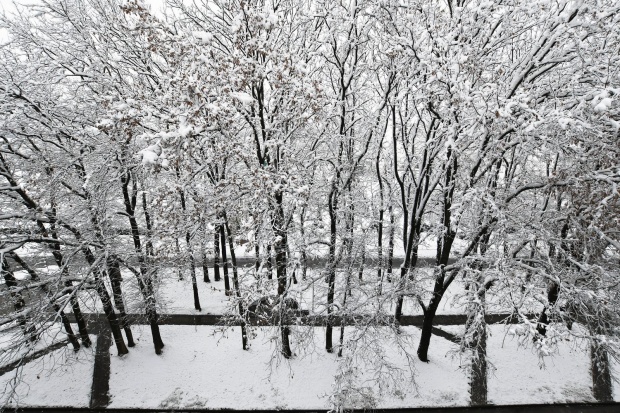 dsc_32377.jpg