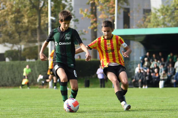sajt204839186.jpg