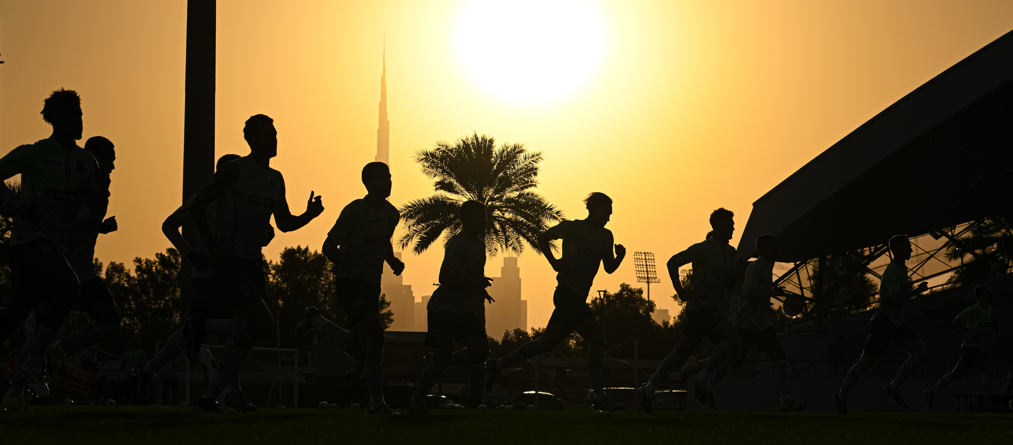 Фотодневник сбора «быков» в Дубае: день девятый