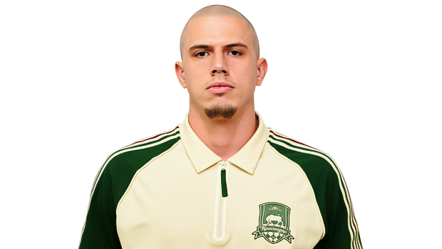 vladimir_igorevich.png